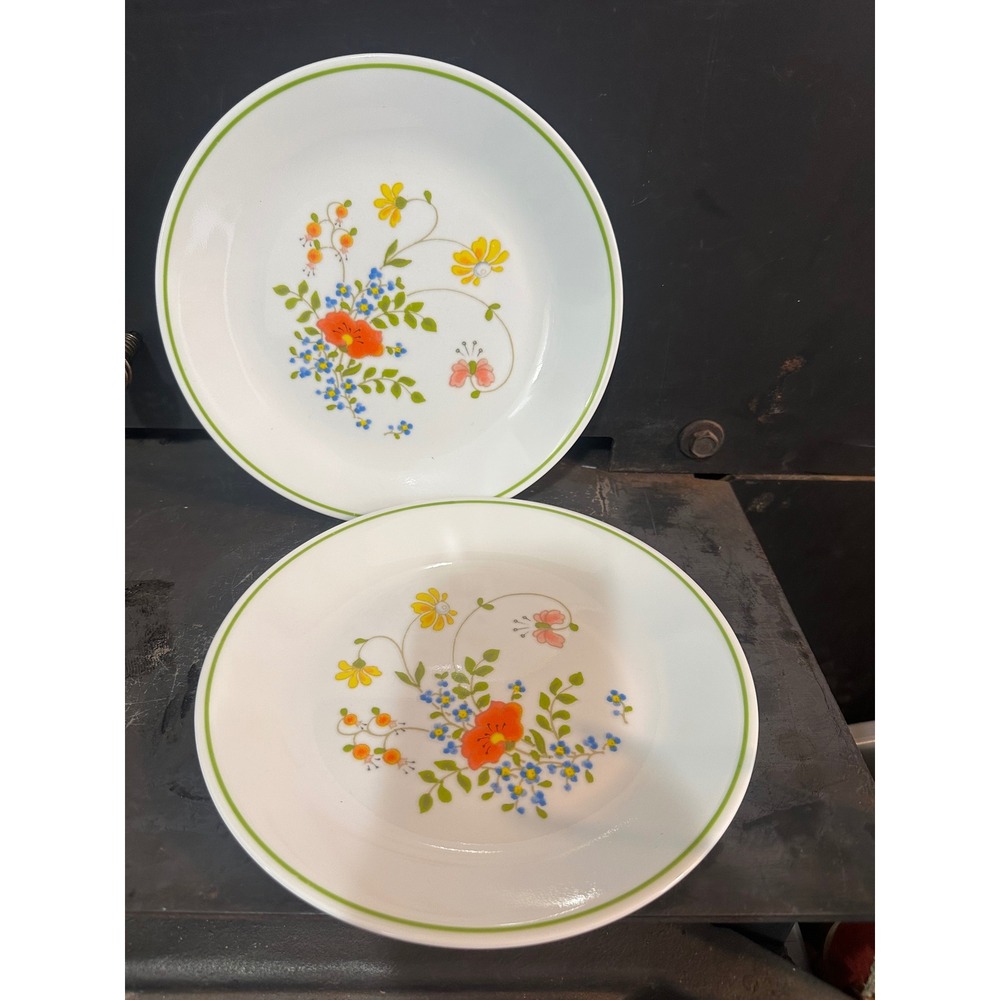 Corelle Spring Meadow Bouquet Dinner Plates Set of 2 Corning Wildflower 8.5"